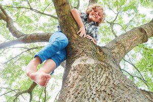 basisschool nieuw schoonebeek